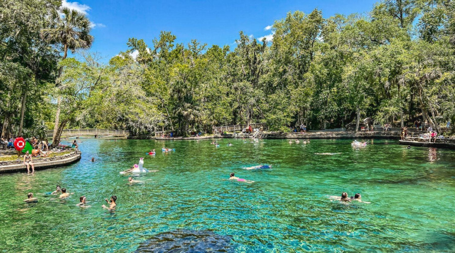 Wekiva Springs State Park – Camping, Kayaking, And More At One Of Florida’s Natural Parks! Just Minutes From Our Community.