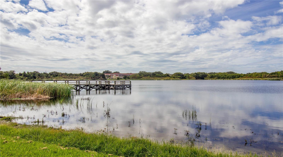 Clearwater, Florida 33763, 2 Bedroom Bedrooms, ,2 Bathroombathrooms,Residential,For Sale,Ecuadorian,0,Mfrtb8538368