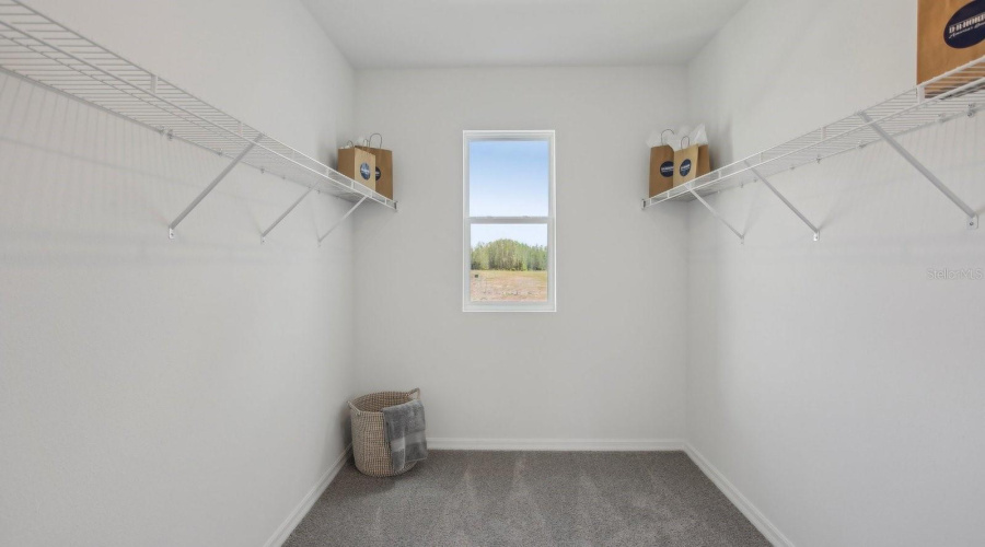 Zephyrhills, Florida 33541, 4 Bedroom Bedrooms, ,2 Bathroombathrooms,Residential,For Sale,Kinsey,0,Mfrtb8542563