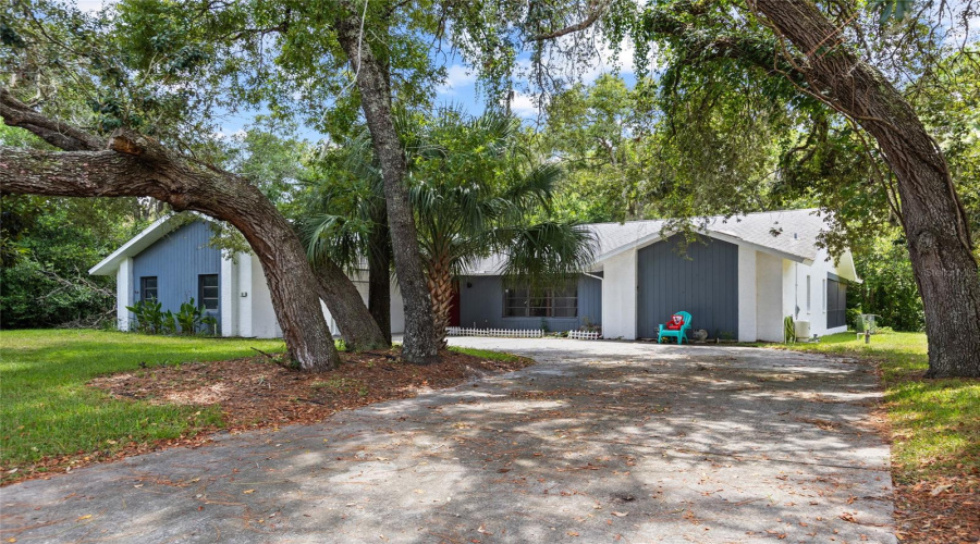 Homosassa, Florida 34446, 3 Bedroom Bedrooms, ,2 Bathroombathrooms,Residential,For Sale,Hollyhock,0,Mfrtb8542462
