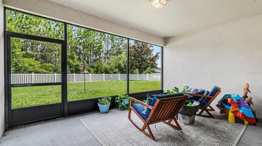 Screened Lanai Interior And Wide View Of Fenced Backyard And Conservation Trees In Tampa Fl 33647