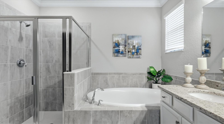 Bradenton, Florida 34211, 4 Bedroom Bedrooms, ,3 Bathroombathrooms,Residential,For Sale,Blue Ridge,0,Mfra4702589