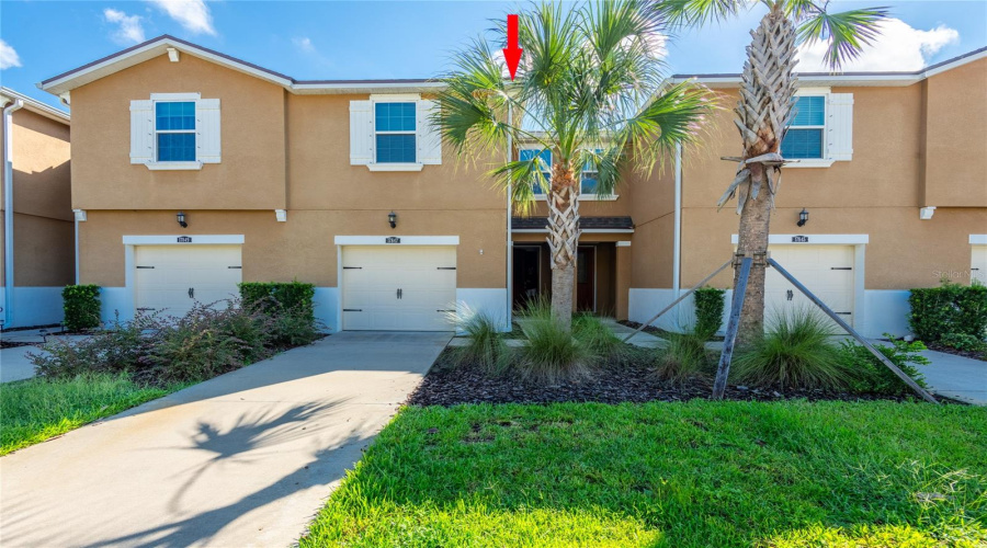 Lutz, Florida 33558, 3 Bedroom Bedrooms, ,2 Bathroombathrooms,Residential,For Sale,Althea Blue,0,Mfrtb8541905