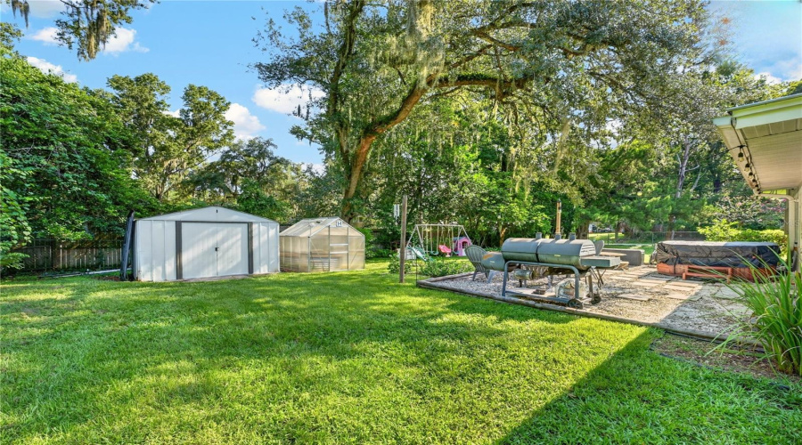 Backyard