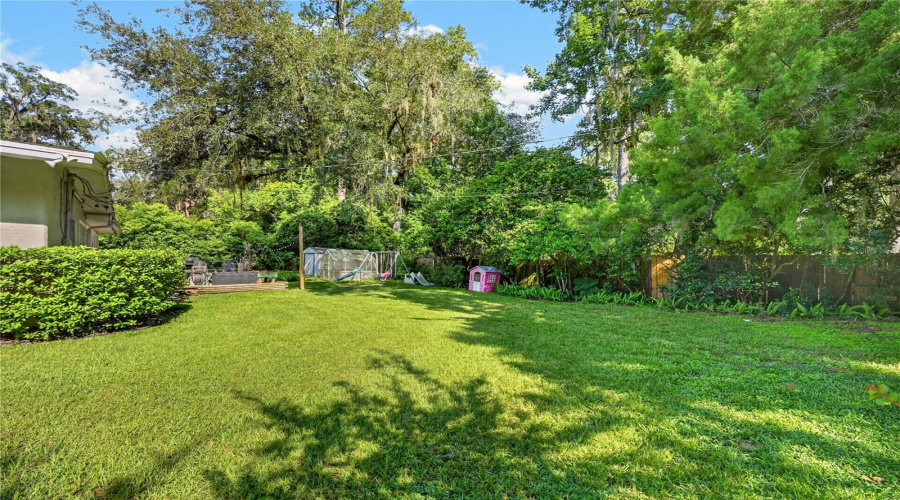 Backyard
