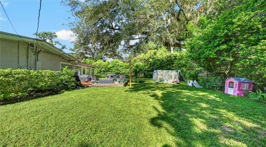 Backyard