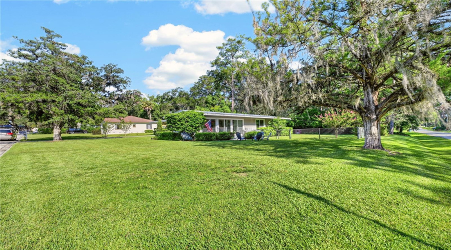 Backyard