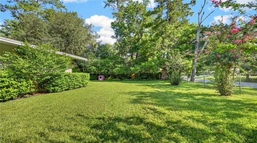 Side Yard