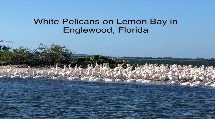 Englewood, Florida 34223, 3 Bedroom Bedrooms, ,2 Bathroombathrooms,Residential,For Sale,Toralis,0,Mfrn6145390