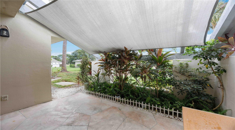 Back Porch