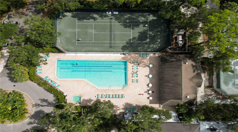 Olympic Pool