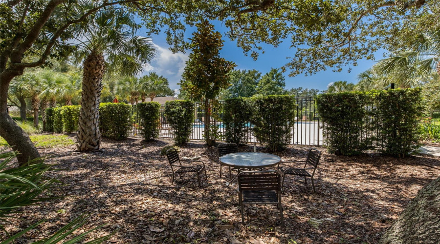 Community Park