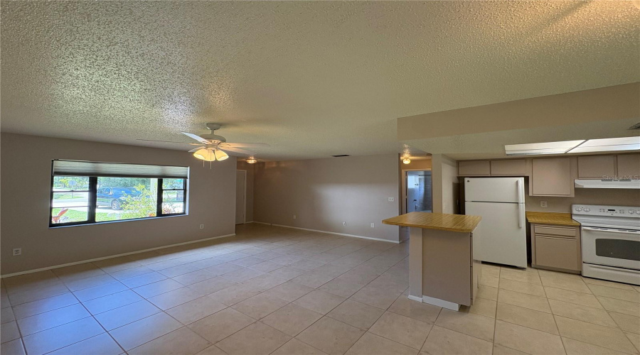 Living Room / Dining Room  / Kitchen