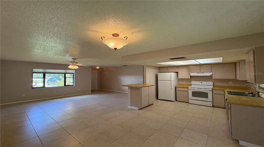 Living Room / Dining Room  / Kitchen