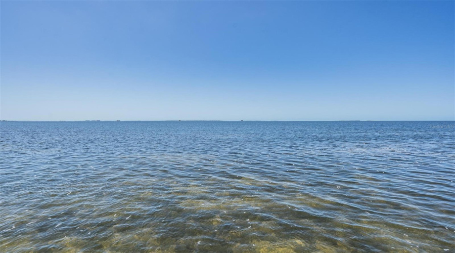 Palm Harbor, Florida 34683, 5 Bedroom Bedrooms, ,4 Bathroombathrooms,Residential,For Sale,Carlyle,0,Mfrtb8542497