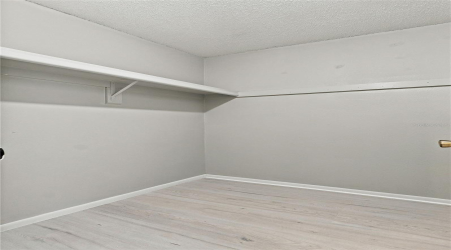 Light Wood-Finish Flooring, Built-In Shelving, And A Garment Rod