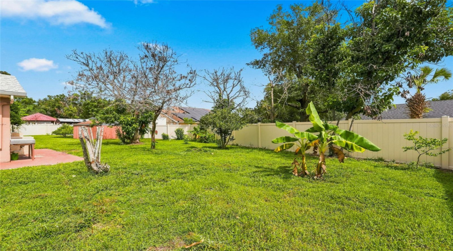 Expansive Grassy Yard With Mature Trees And A Privacy Fence