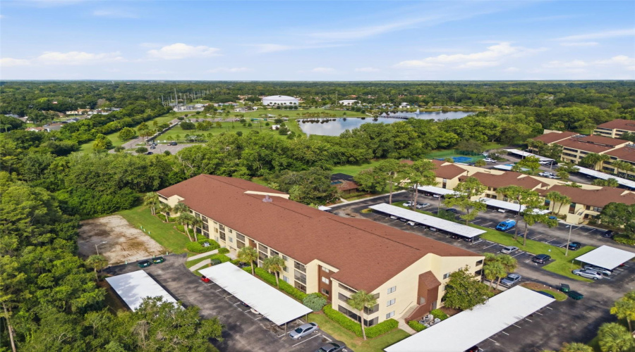 Tampa, Florida 33618, 1 Bedroom Bedrooms, ,1 Bathroombathrooms,Residential,For Sale,Village,0,Mfrg5116963