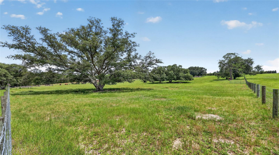 Morriston, Florida 32668, 3 Bedroom Bedrooms, ,3 Bathroombathrooms,Residential,For Sale,27Th,0,Mfrom730154