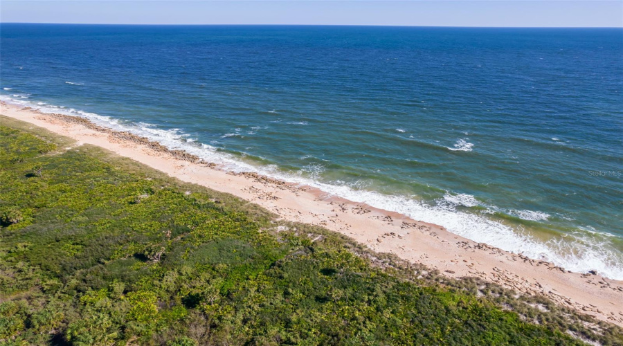 Palm Coast, Florida 32137, 5 Bedroom Bedrooms, ,4 Bathroombathrooms,Residential,For Sale,Surfview,0,Mfro6286926