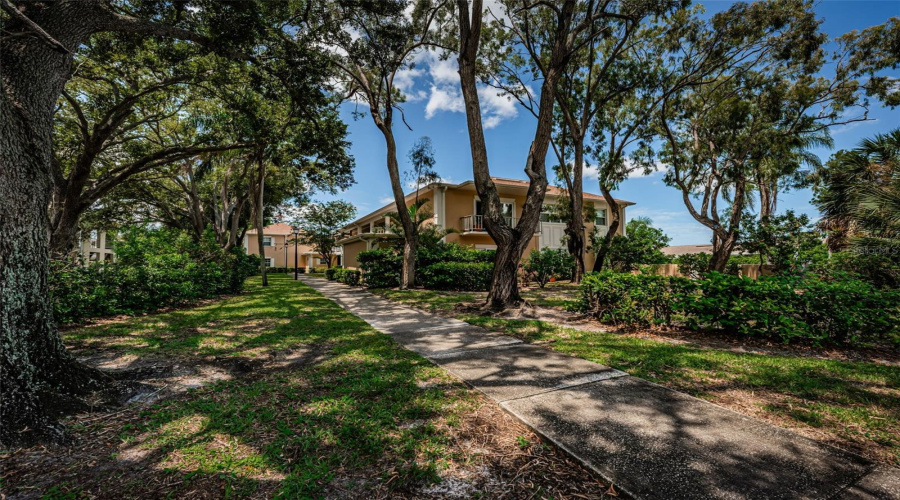 Surrounded By Lush, Beautifully Maintained Landscaping, This Inviting 2 Bed, 2 Bath Ground-Floor Condo Offers A Peaceful Retreat In One Of Seminole’s Most Desirable Communities.