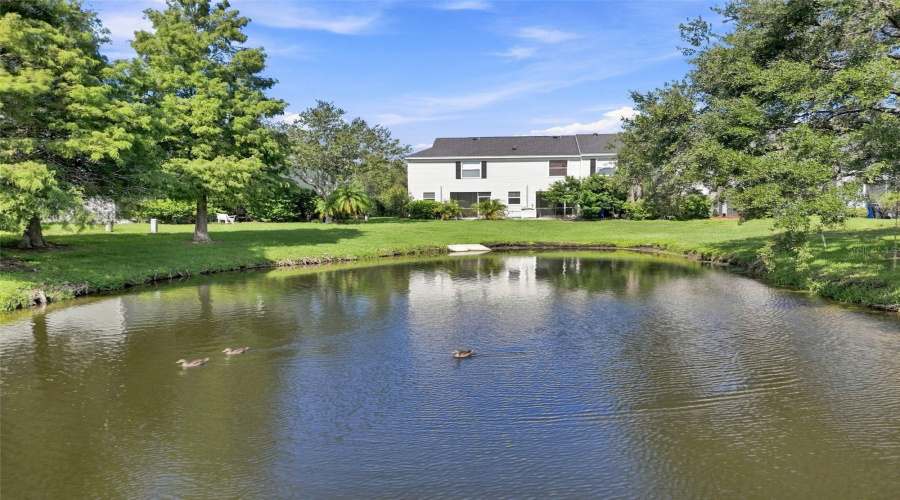 Tampa, Florida 33635, 2 Bedroom Bedrooms, ,1 Bathroombathrooms,Residential,For Sale,Country White,0,Mfrtb8542335
