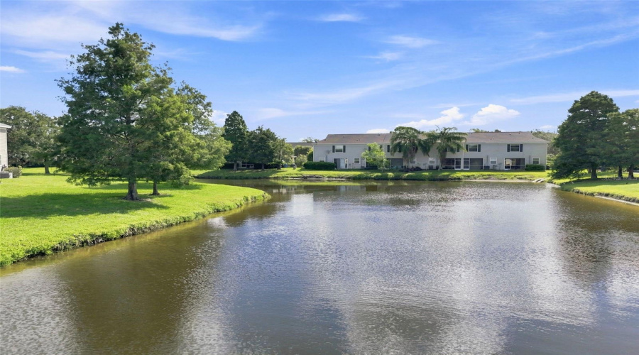Tampa, Florida 33635, 2 Bedroom Bedrooms, ,1 Bathroombathrooms,Residential,For Sale,Country White,0,Mfrtb8542335