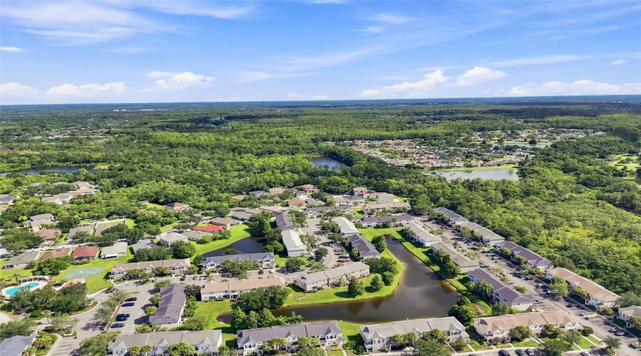 Tampa, Florida 33635, 2 Bedroom Bedrooms, ,1 Bathroombathrooms,Residential,For Sale,Country White,0,Mfrtb8542335