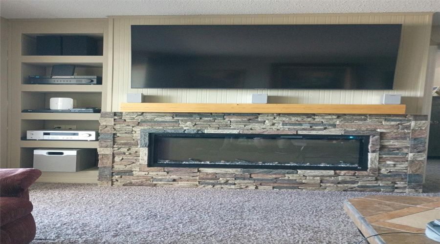 Fireplace/Entertainment