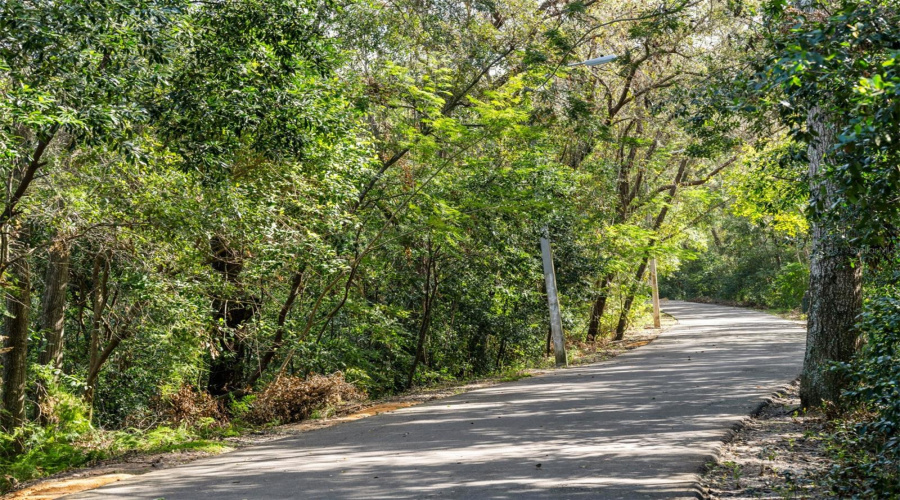 Trail