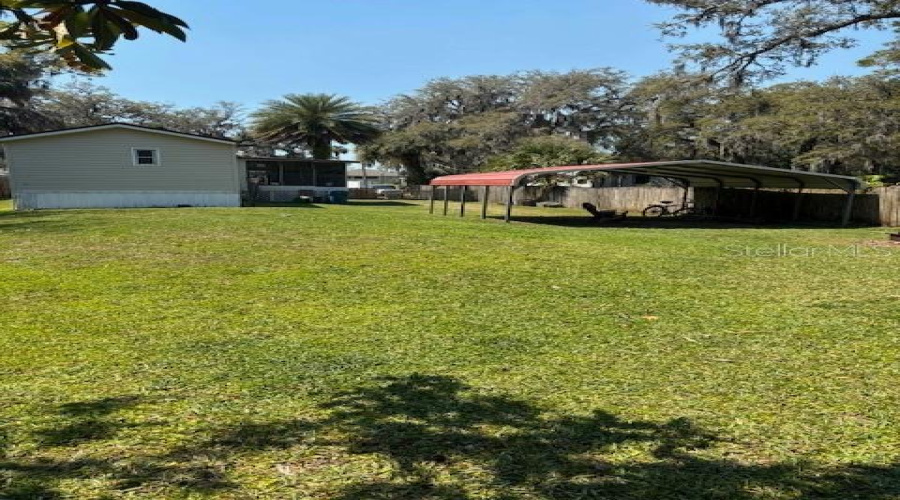 Backyard