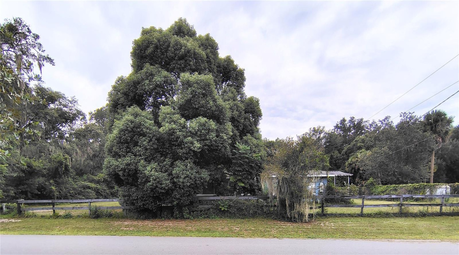 Okahumpka, Florida 34762, 3 Bedroom Bedrooms, ,1 Bathroombathrooms,Residential,For Sale,Main,0,Mfrfc320976
