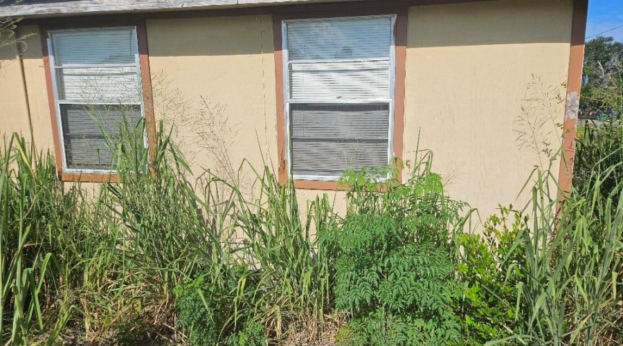 Clearwater, Florida 33756, 3 Bedroom Bedrooms, ,2 Bathroombathrooms,Residential,For Sale,Patterson,0,Mfrom731147