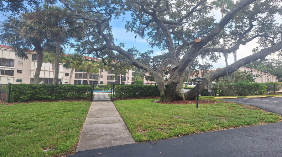Tarpon Springs, Florida 34689, 2 Bedroom Bedrooms, ,2 Bathroombathrooms,Residential,For Sale,Florida,0,Mfrtb8542712