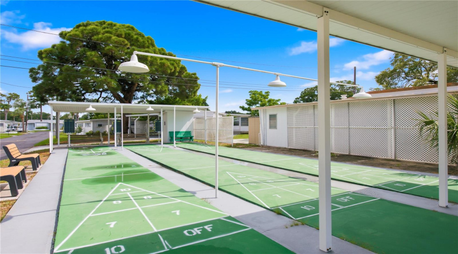 Shuffle Board Courts