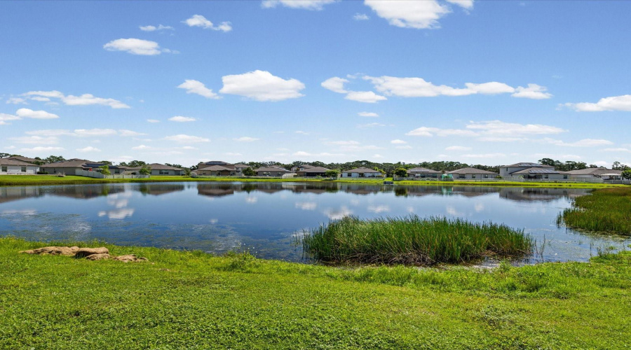 Ruskin, Florida 33573, 4 Bedroom Bedrooms, ,2 Bathroombathrooms,Residential,For Sale,Wicked Strong,0,Mfrtb8542626