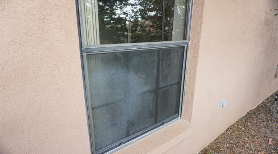 Some Windows Are Fogged