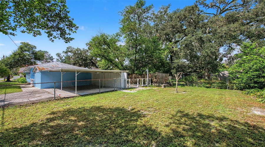 East Side Back Yard