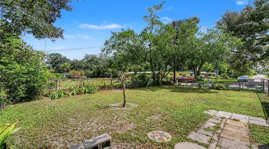 Back Yard
