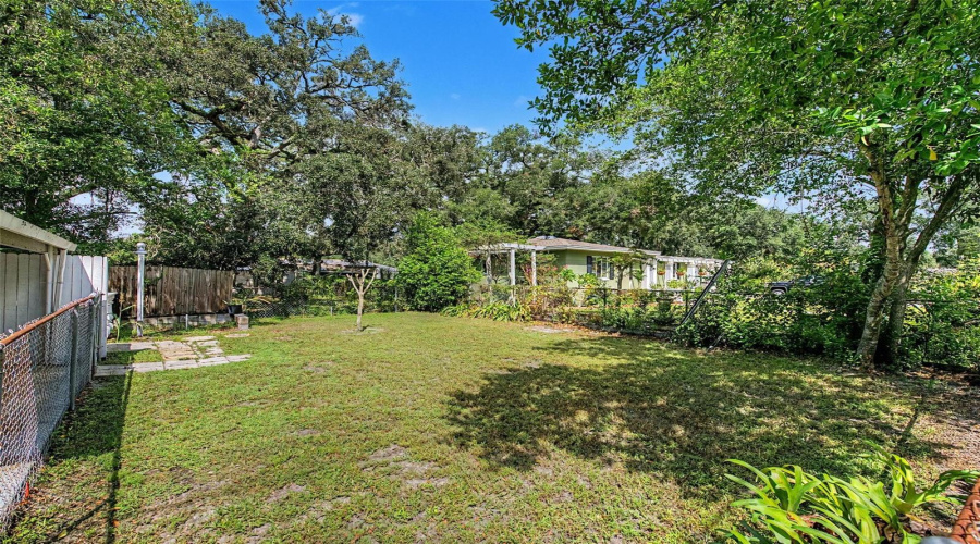 Back Yard