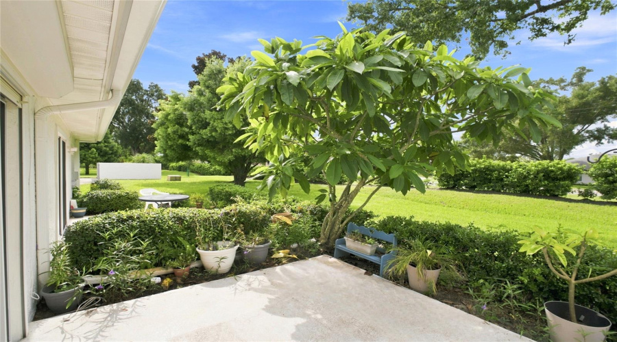 Rear Patio Space Surrounded By Lush Green Landscaping~