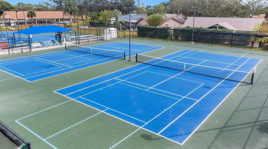 Tennis &Amp; Pickleball Leagues With Beginner Clinics~