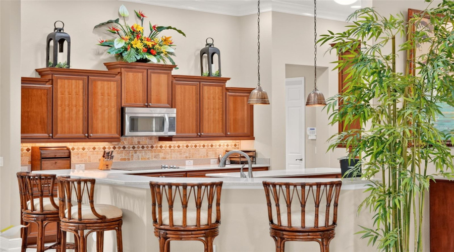 Kitchen - Raised, Peninsular Breakfast Bar W/ Ss Double Sink And Pull Down Faucet. Doorway (Center Back R) Leads Toward The Hallway/Utility Side.
