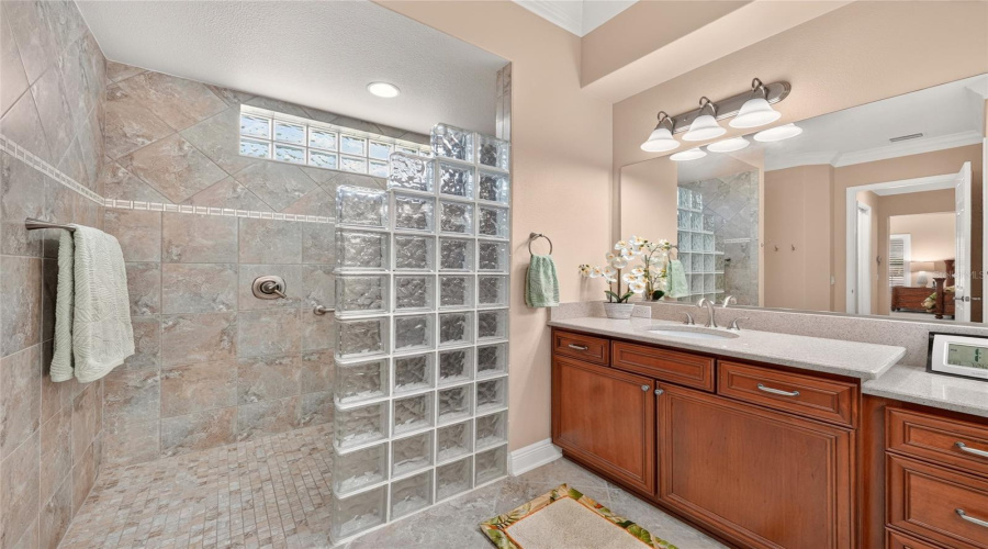 Primary Ensuite Bath  - View Of Roman Shower With Partial Wall Of Glass Blocks And Transom Window Above For Natural Light