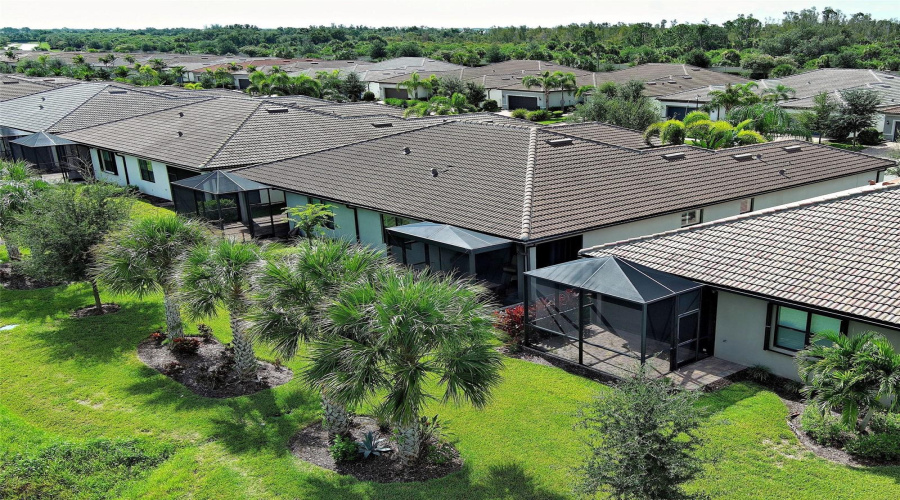Mature Landscaping