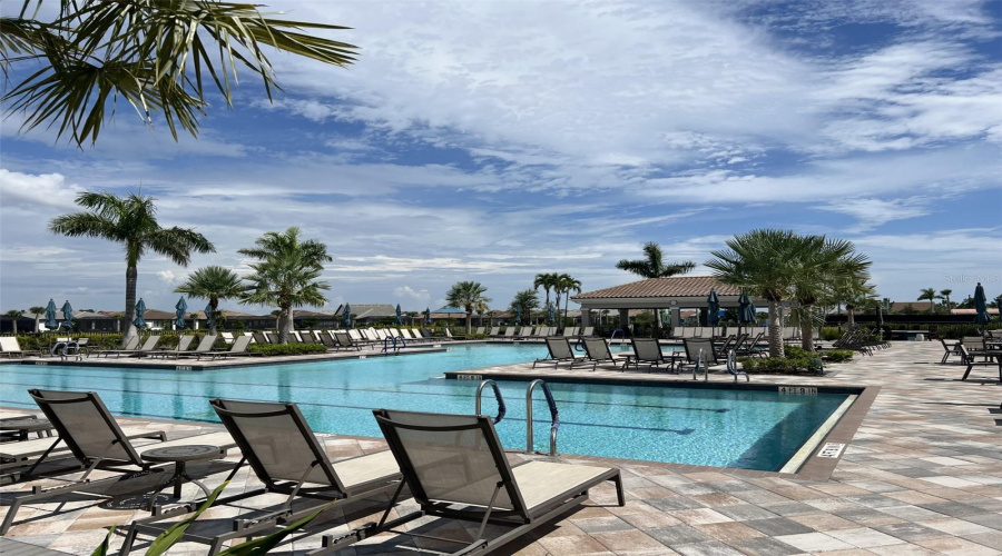 Clubhouse Pool With Lap Pool Area
