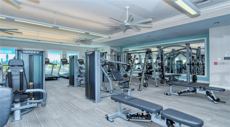 Clubhouse Gym