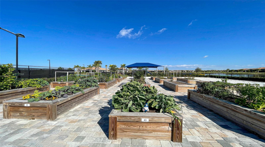 Community Garden