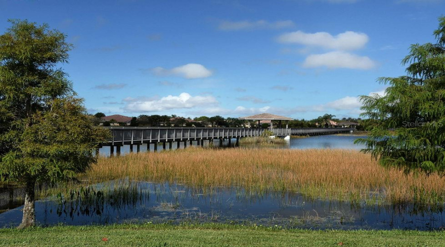 Marsh To Observe Wildlie