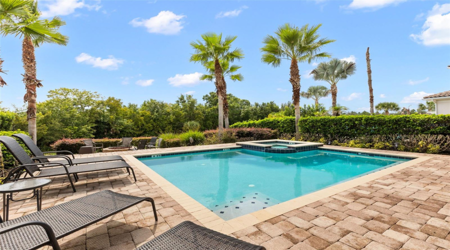 Backyard Views